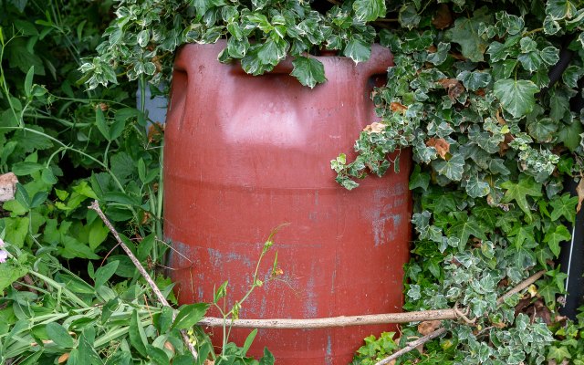 water butt in mature garden