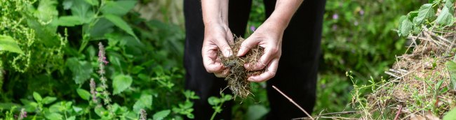 Compost mulch