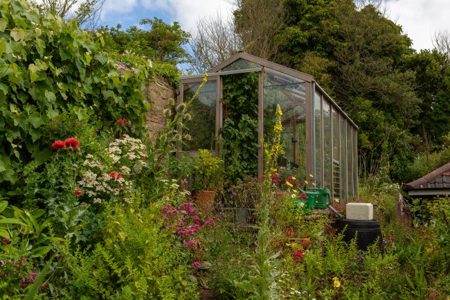 A lush garden